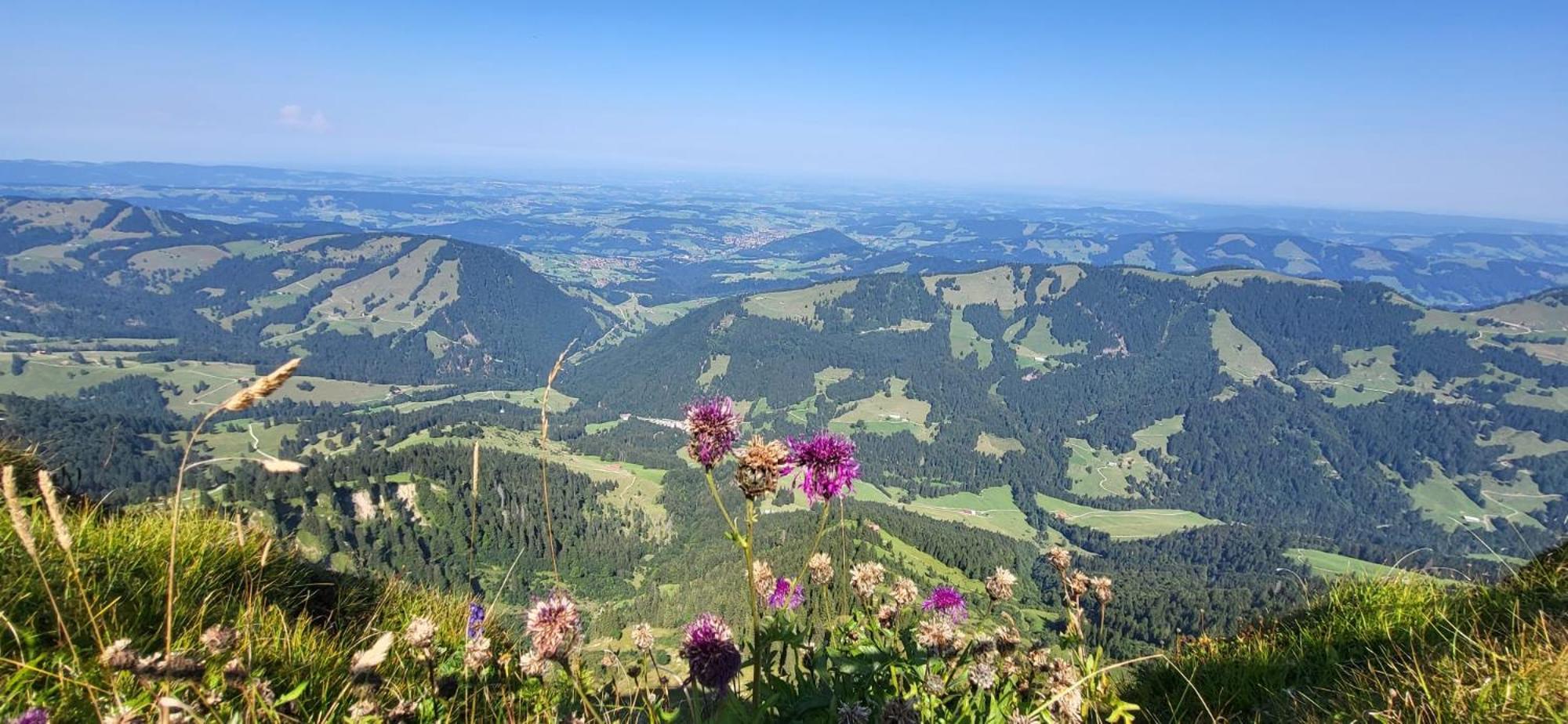 Exklusive Fewo Allgaeustern Steibis Mit Wlan Sauna Kamin Und Oberstaufen Plus Card Exteriör bild