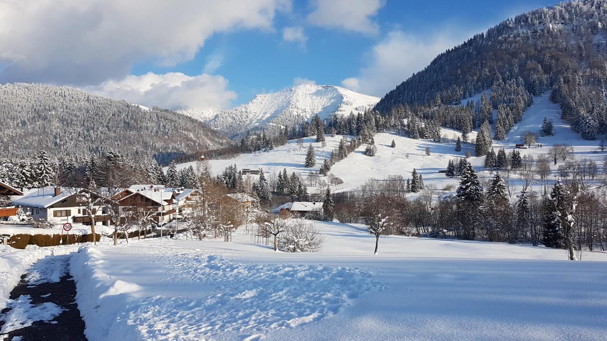 Exklusive Fewo Allgaeustern Steibis Mit Wlan Sauna Kamin Und Oberstaufen Plus Card Exteriör bild